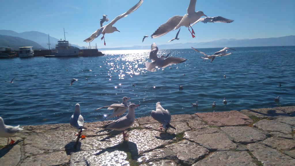 'By The Lake' Apartments オフリド エクステリア 写真