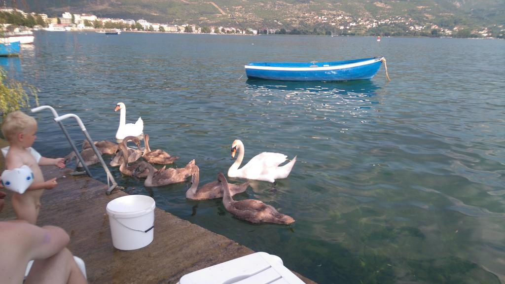 'By The Lake' Apartments オフリド エクステリア 写真